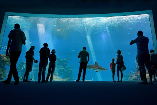 Billets pour l'observatoire sous-marin