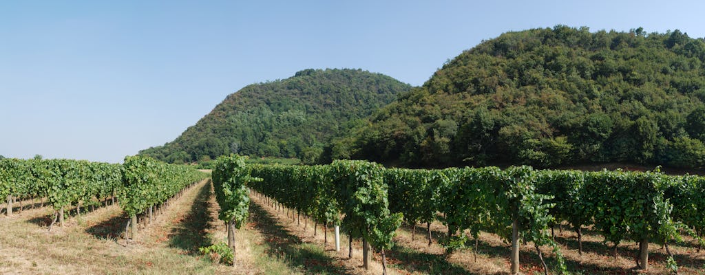 Visite et dégustation des vins de Franciacorta au départ de Brescia