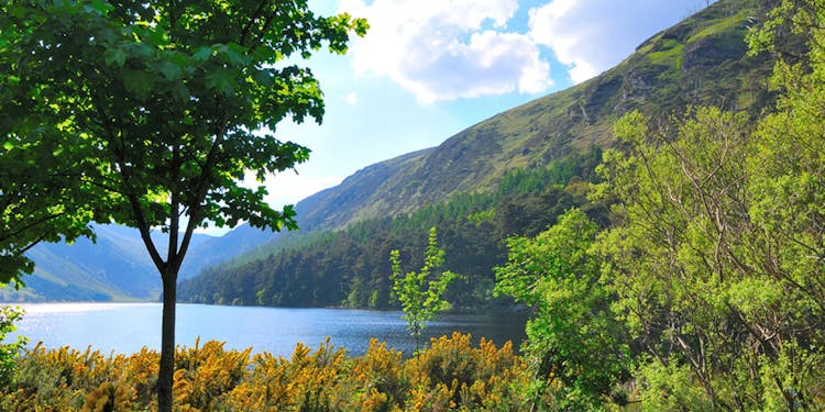 Wicklow and Glendalough day trip from Dublin with guided walk