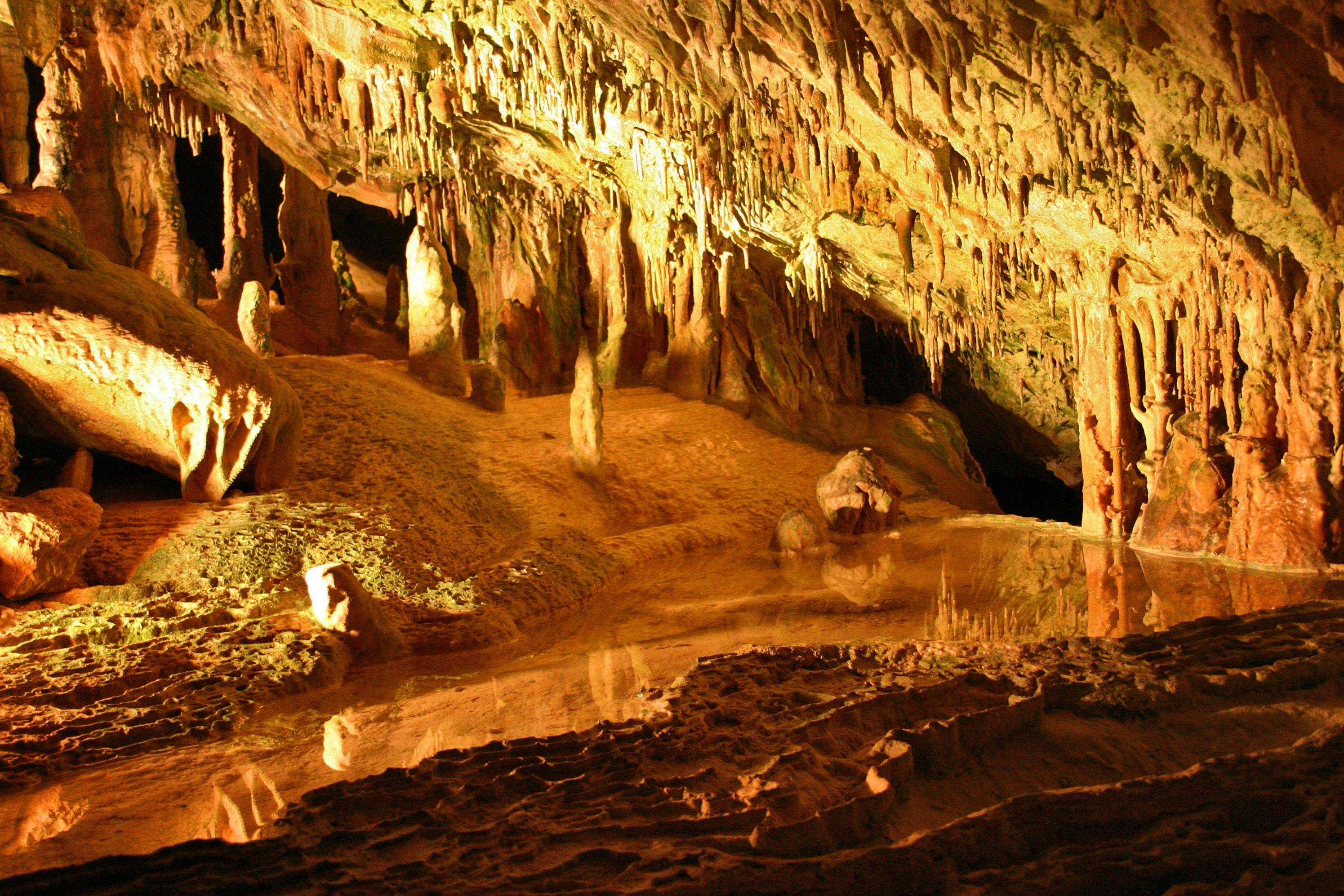 Höhlen von Can Marça Eintrittsticket