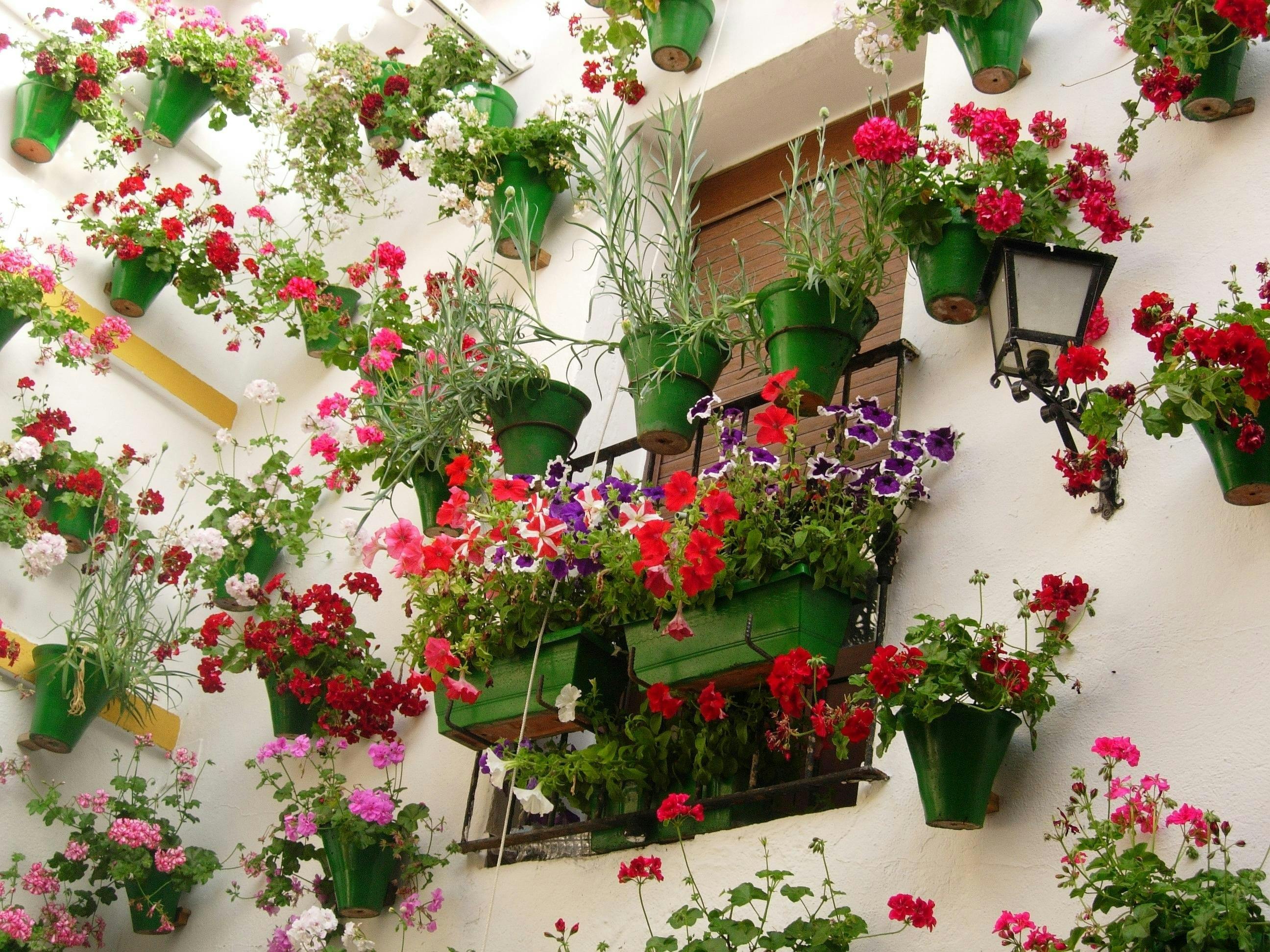 Cordoba Tour