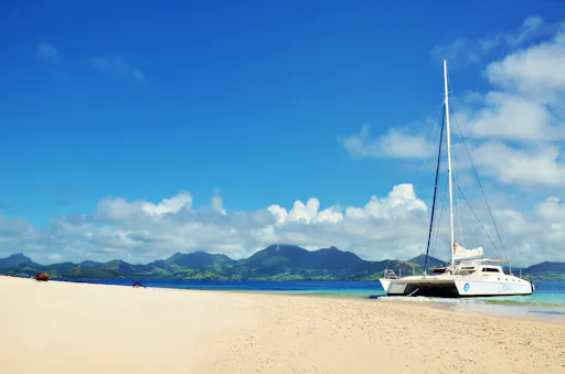 Île aux Bénitiers Catamaran Cruise