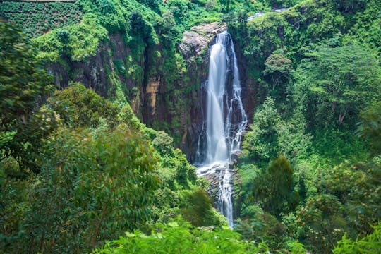 La rotta del tè Nuwara Eliya, Ella e Little Adam's Peak fanno un'escursione di 2 giorni da Kandy
