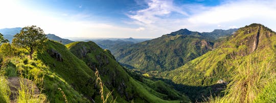 Itinerario del tè Nuwara Eliya e escursione notturna di Adam's Peak: tour di 2 giorni da Kandy