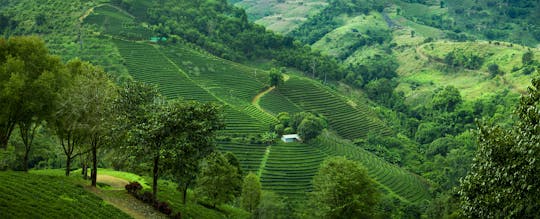 Knuckles Mountain escursione al villaggio di Heeloya da Kandy