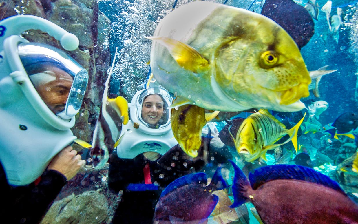 SeaVenture at Discovery Cove