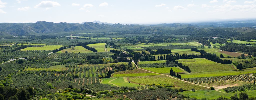 Appellation Les Baux-de-Provence privé wijntour