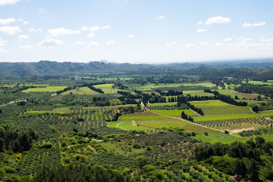 Appellation Les Baux-de-Provence private wine tour