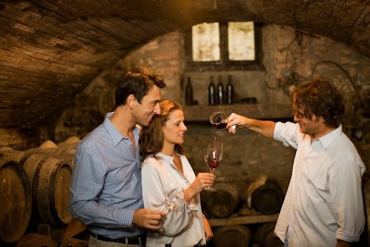 Tour privado do vinho Appellation Côtes de Provence