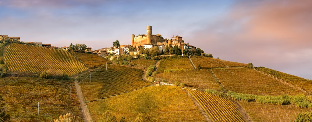 Tour de vinos de Barolo y degustación desde Milán