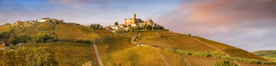 Barolo wine tour and tasting from Milan