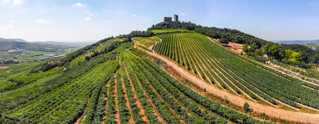 Tour privato del vino Soave e degustazione da Verona