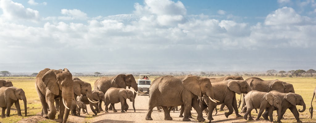 3-day Amboseli by plane with Ol Tukai Lodge stay
