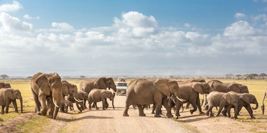 3-dniowy samolot Amboseli z pobytem w Ol Tukai Lodge