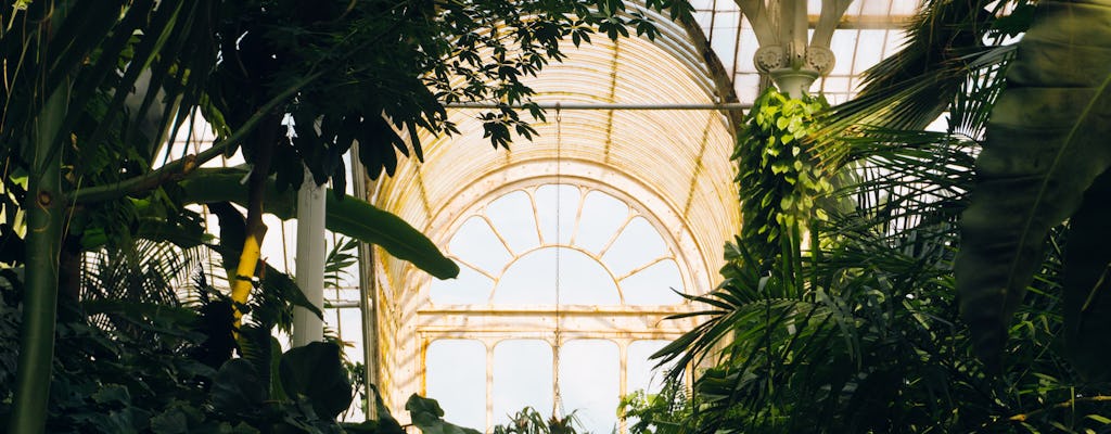 Kew Gardens audio walking tour guided by expert botanist