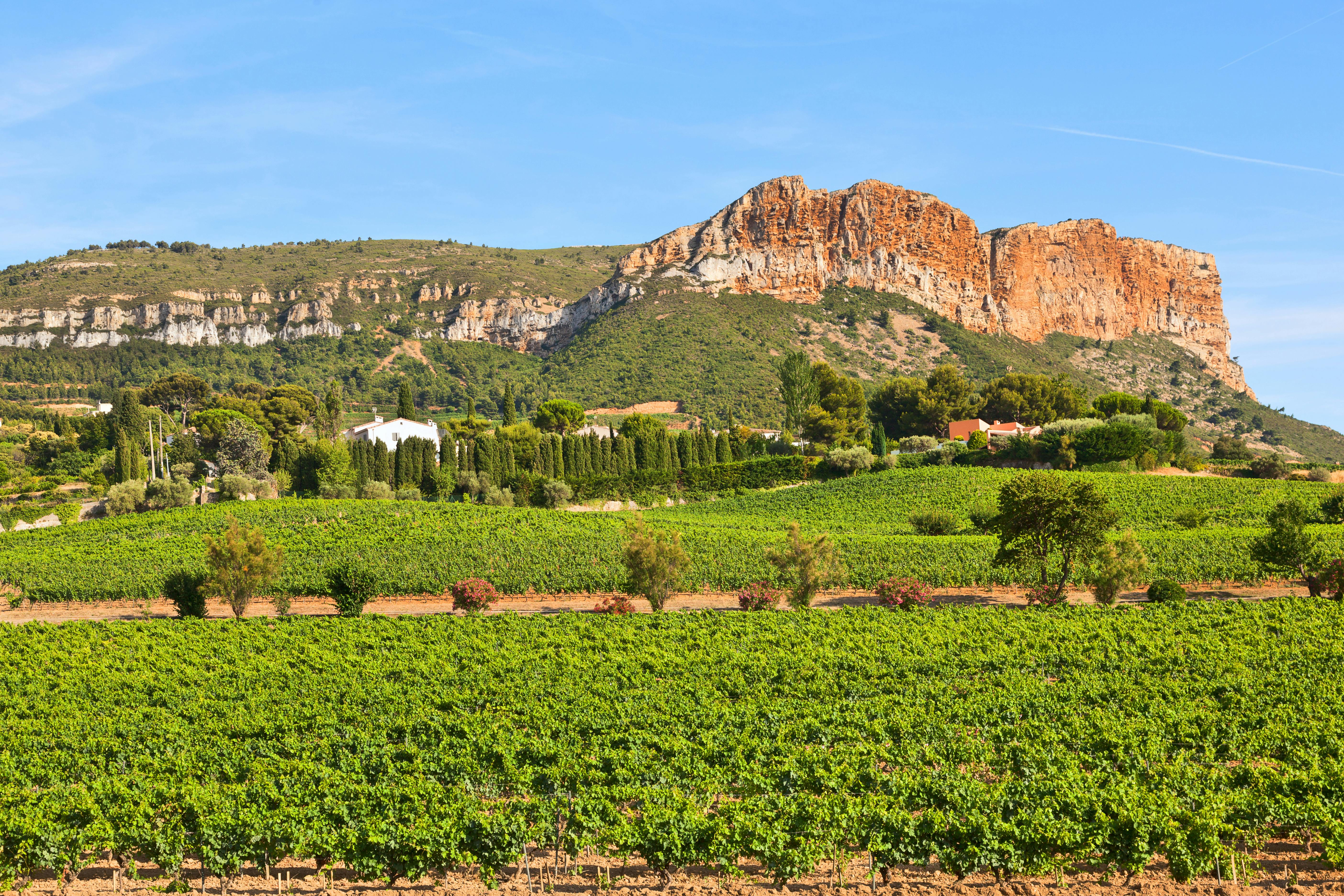 Bandol and Cassis half-day private wine tour