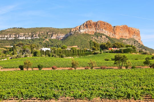 Bandol and Cassis half-day private wine tour