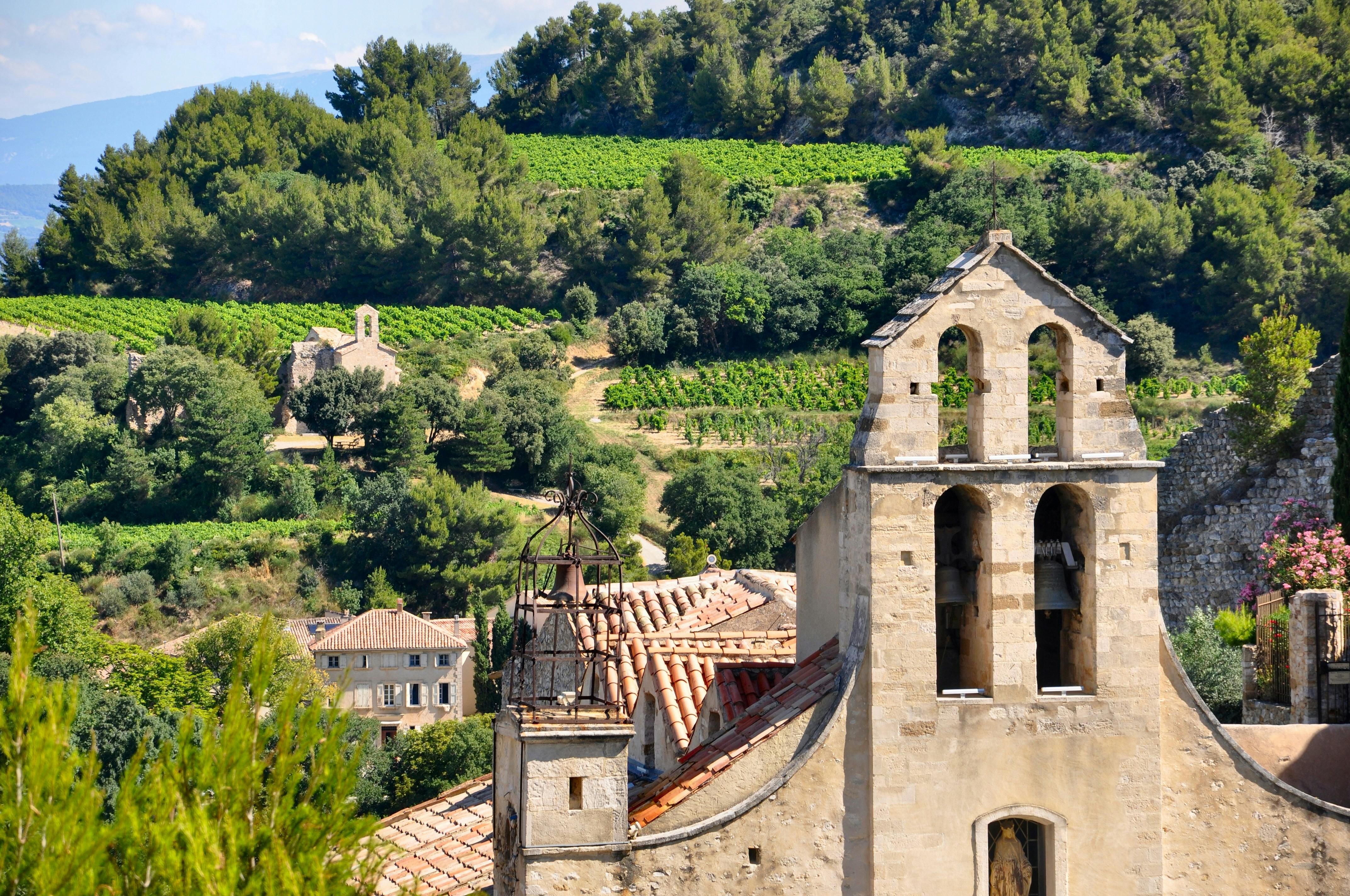 Tour privato del vino dei villaggi vicino ad Avignone