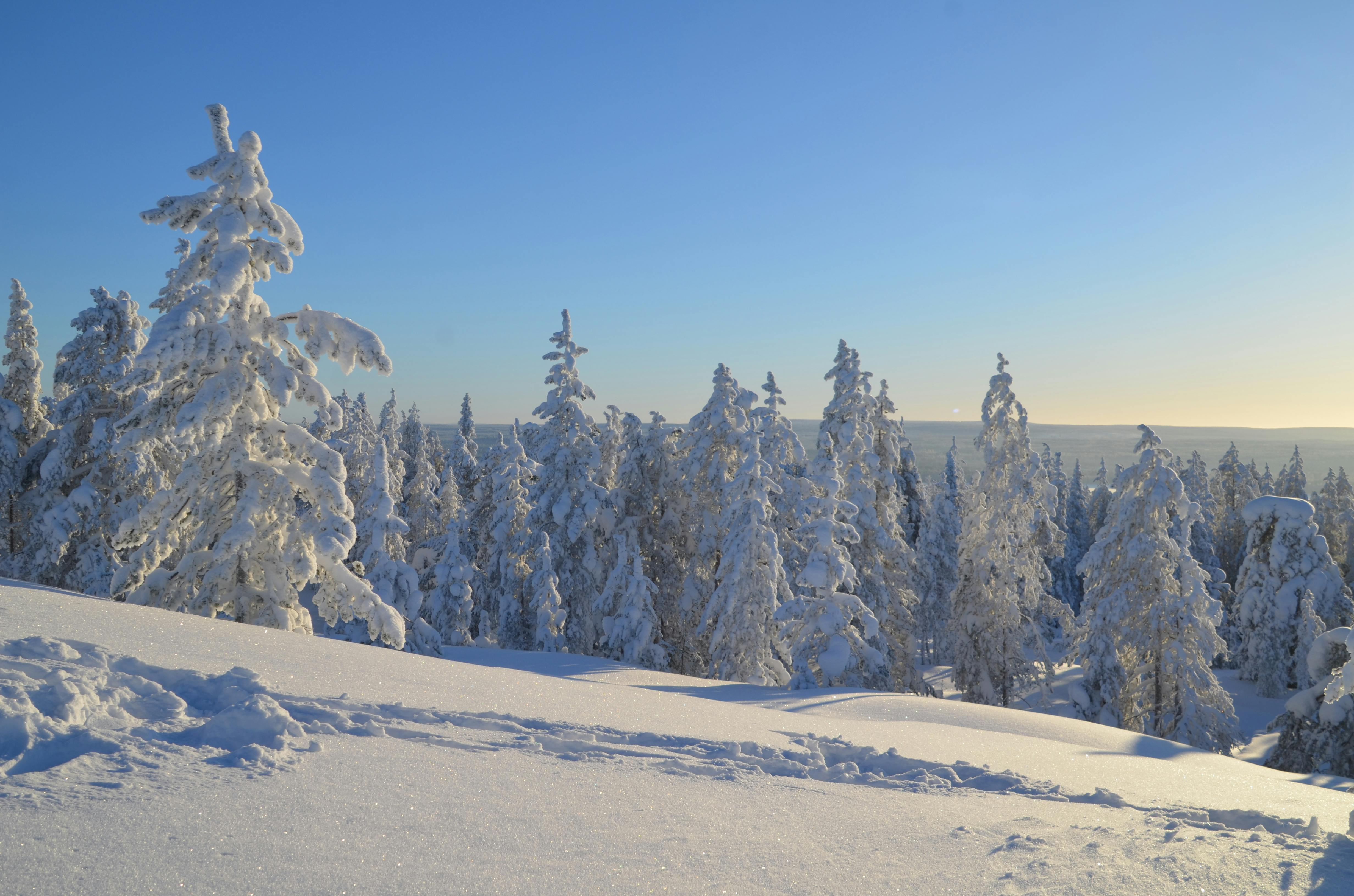 Vintertur med överlevnadstips i vildmarken