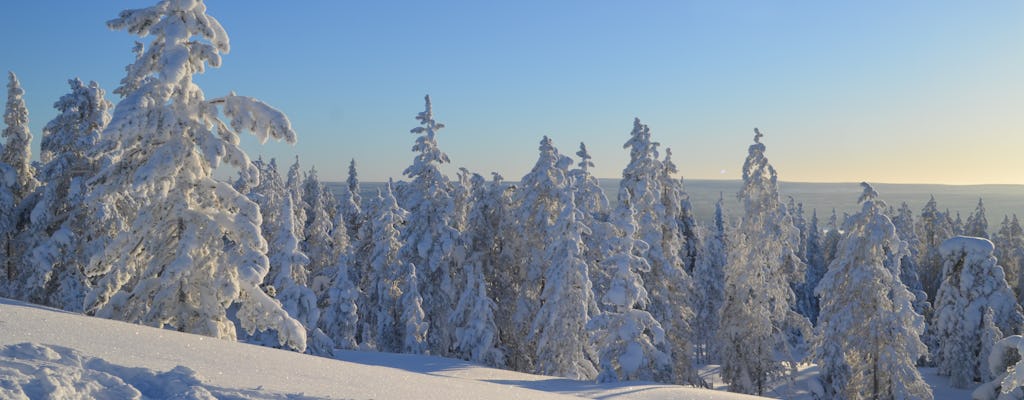 Tour d'hiver de survie en milieu sauvage