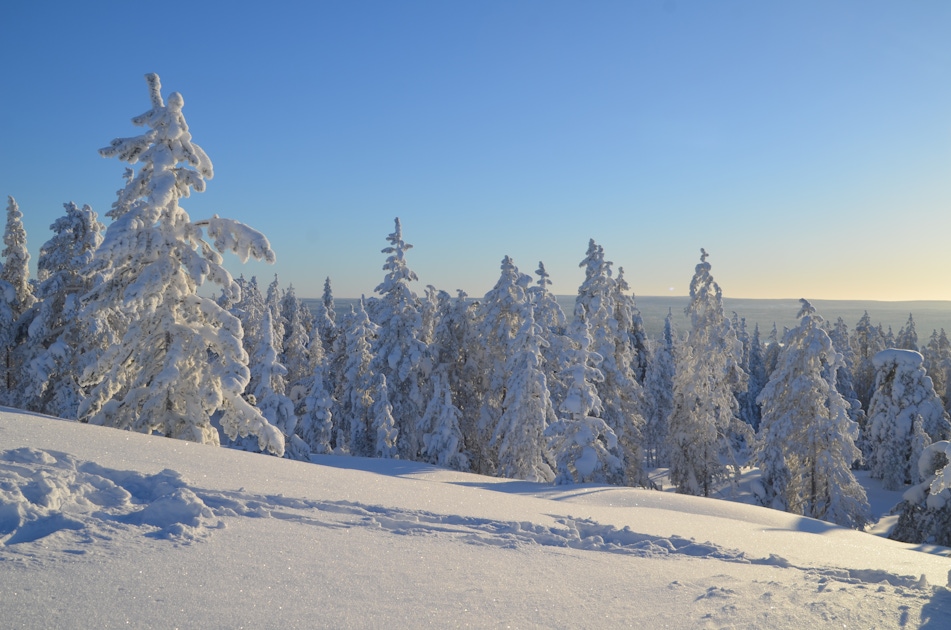 Hiking & bike tours in Rovaniemi Hiking & bike tours in Rovaniemi