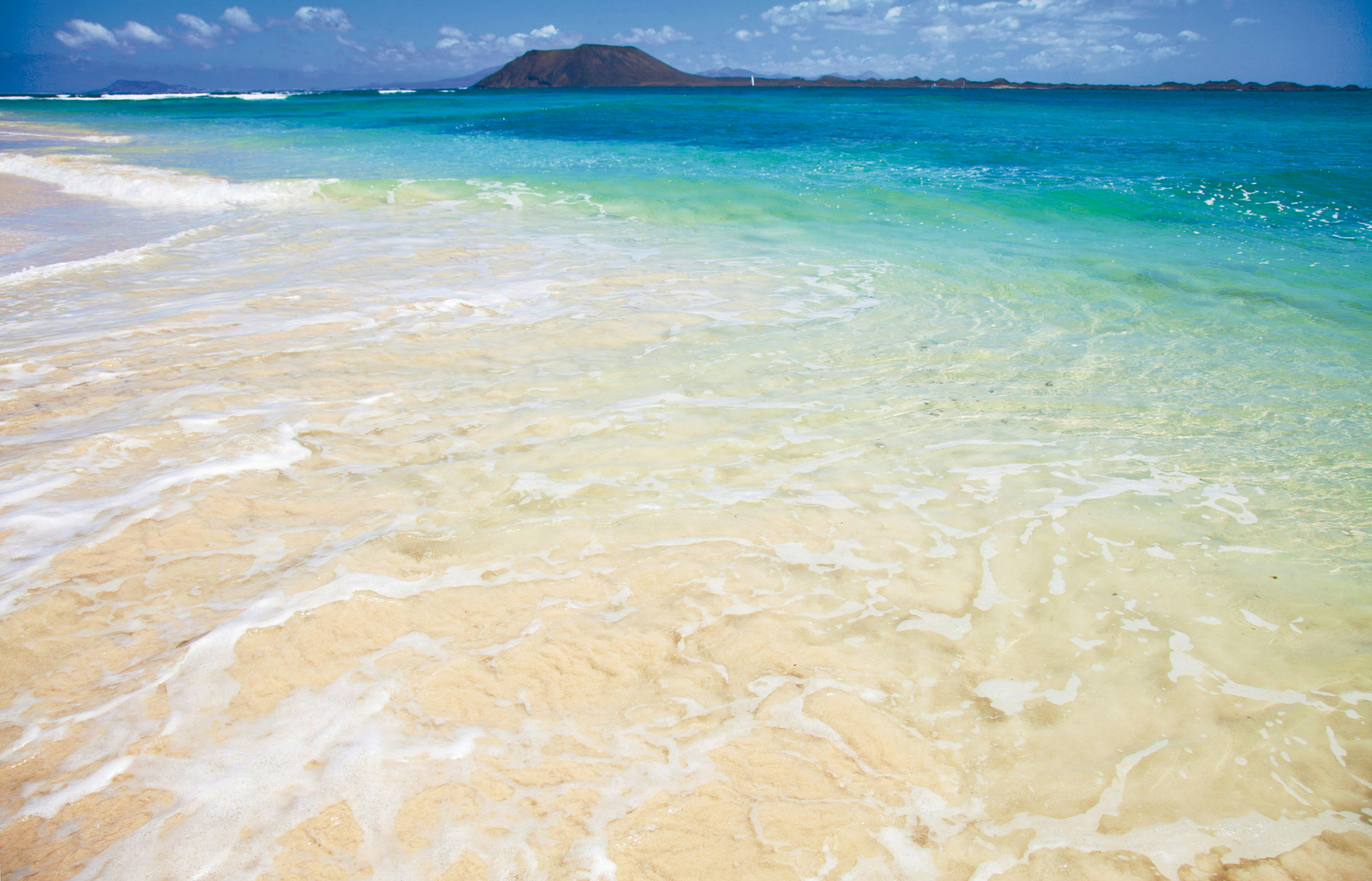 Wyspa Lobos i obserwowanie delfinów