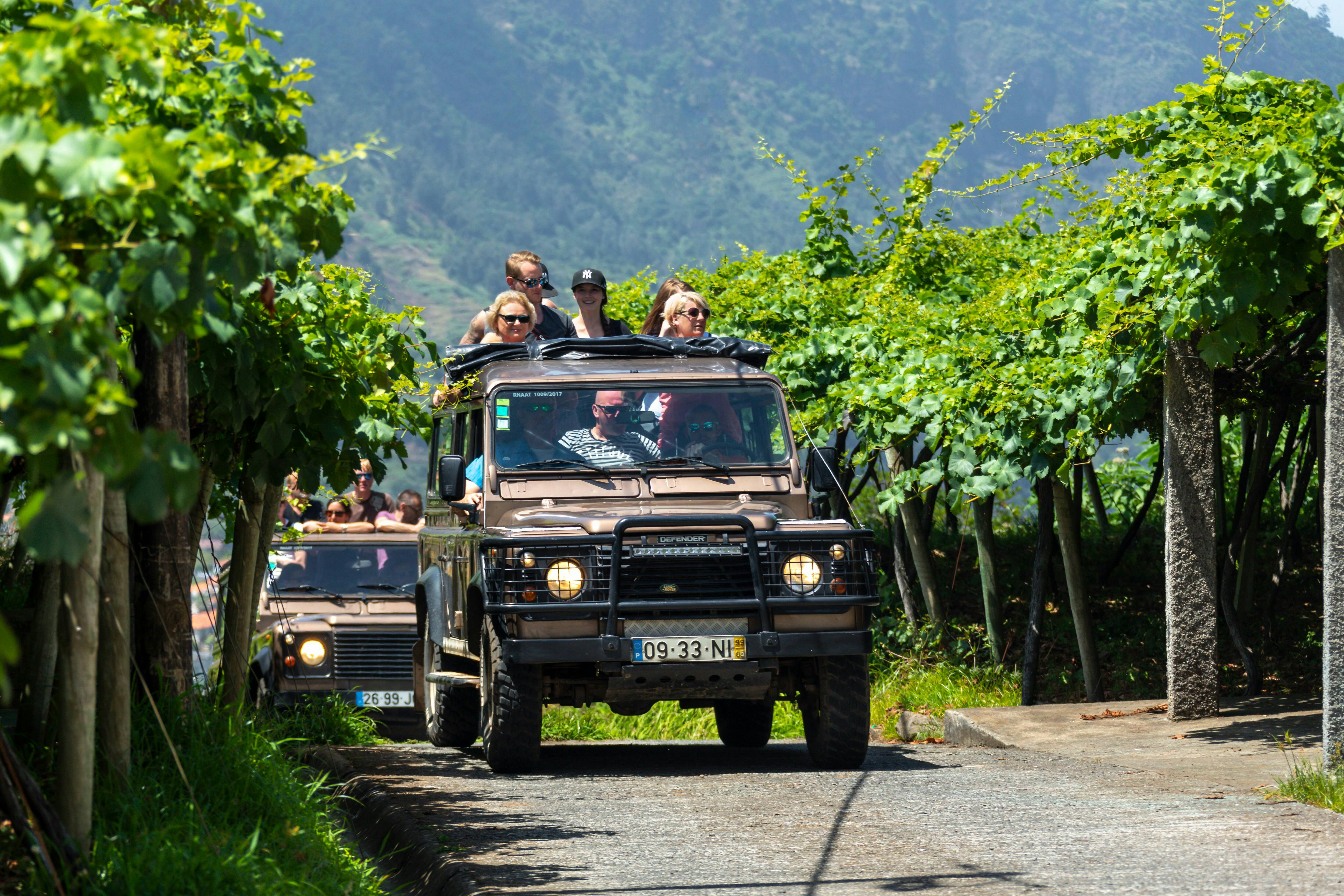 Passeio 4x4 na Madeira e experiência de degustação de vinhos