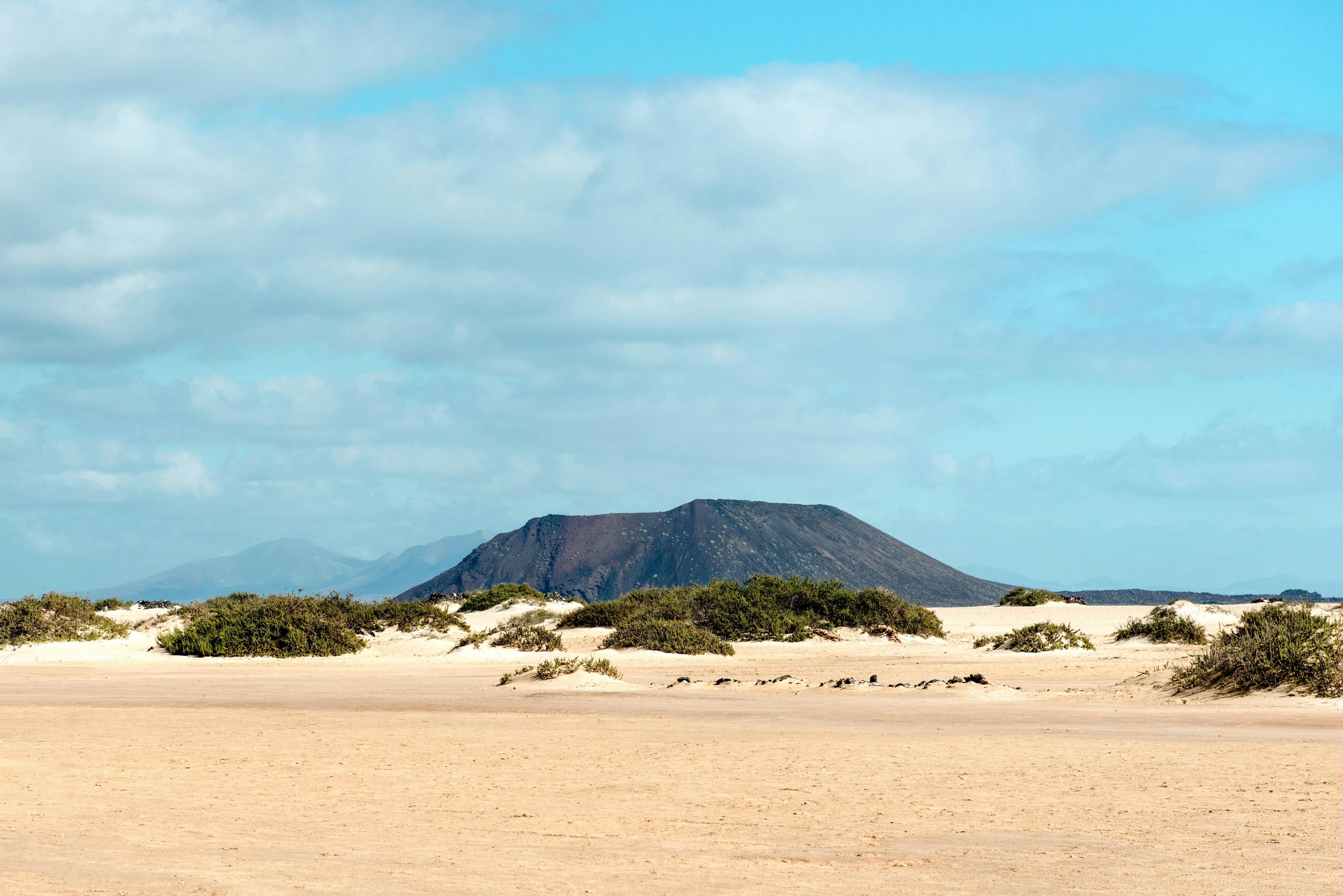 Lobos Island and Dolphin Watching Trip