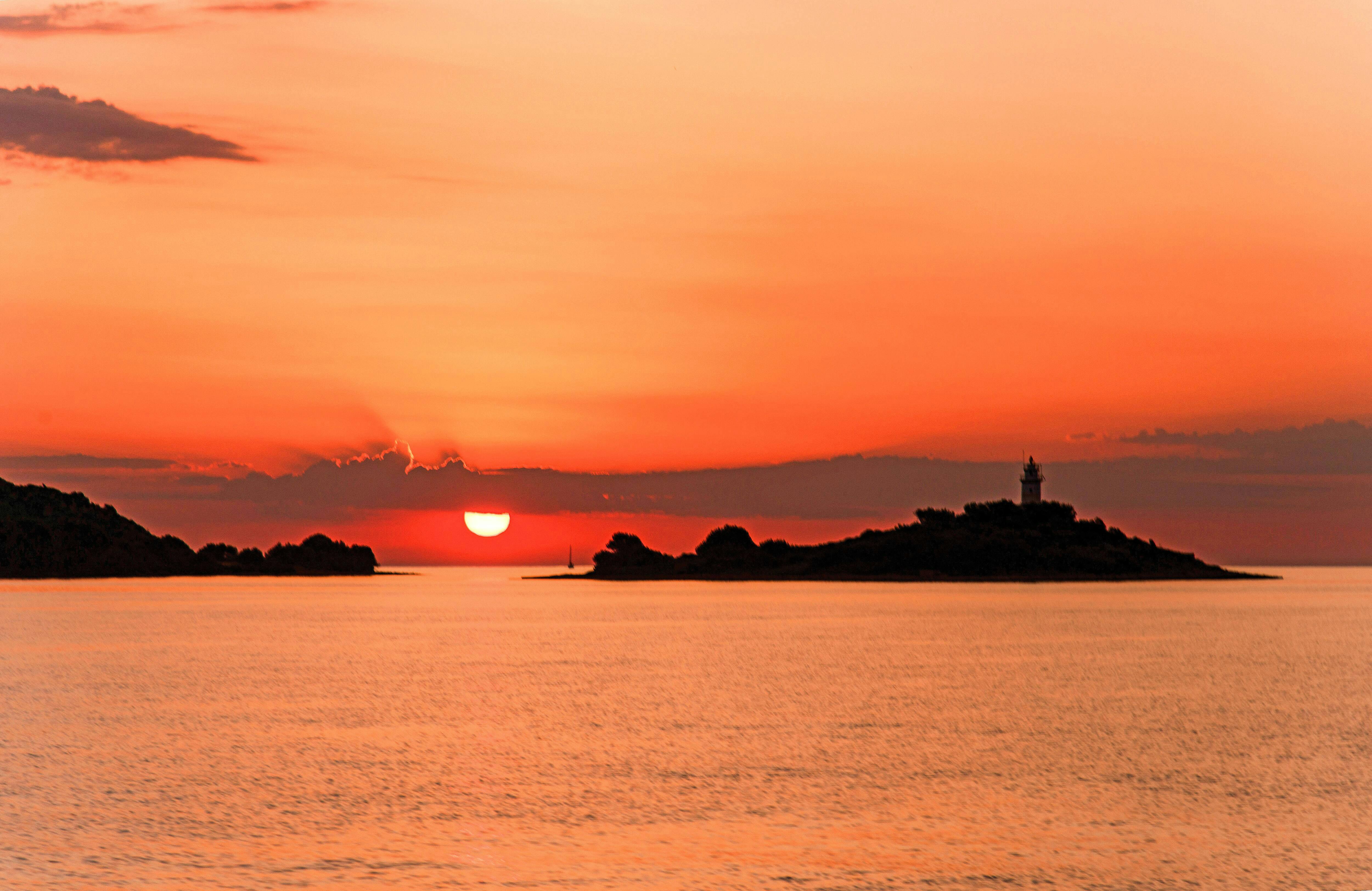 Majorca Sunrise Dolphin Cruise