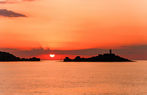 Majorca Sunrise Dolphin Cruise