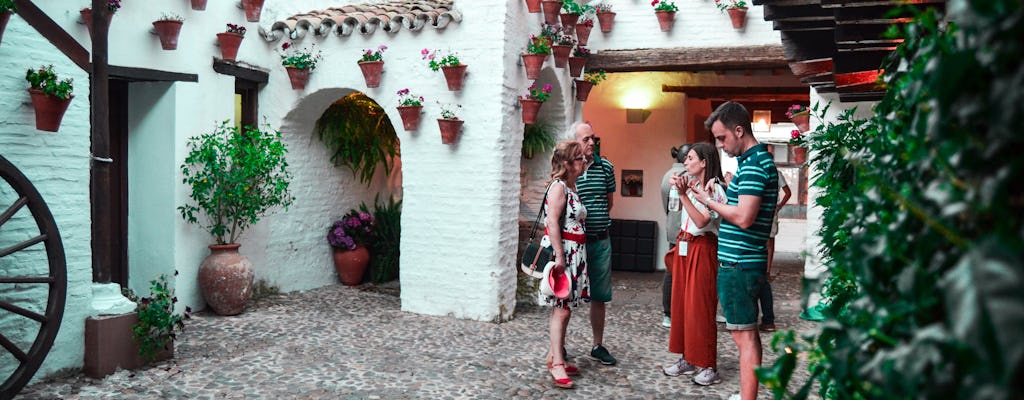 Tour nocturno a pie por el casco antiguo de Córdoba