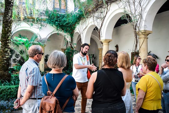 Visita guiada del Palacio de Viana y de sus patios