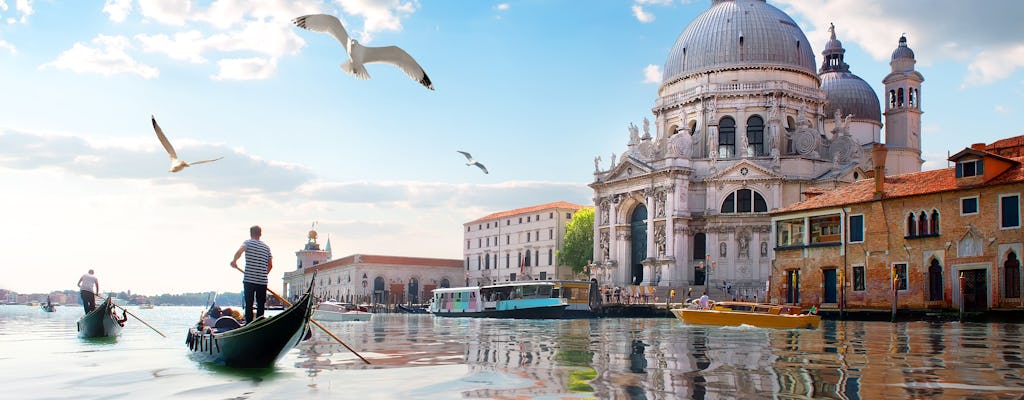 Private walking tour of Venice from Milan