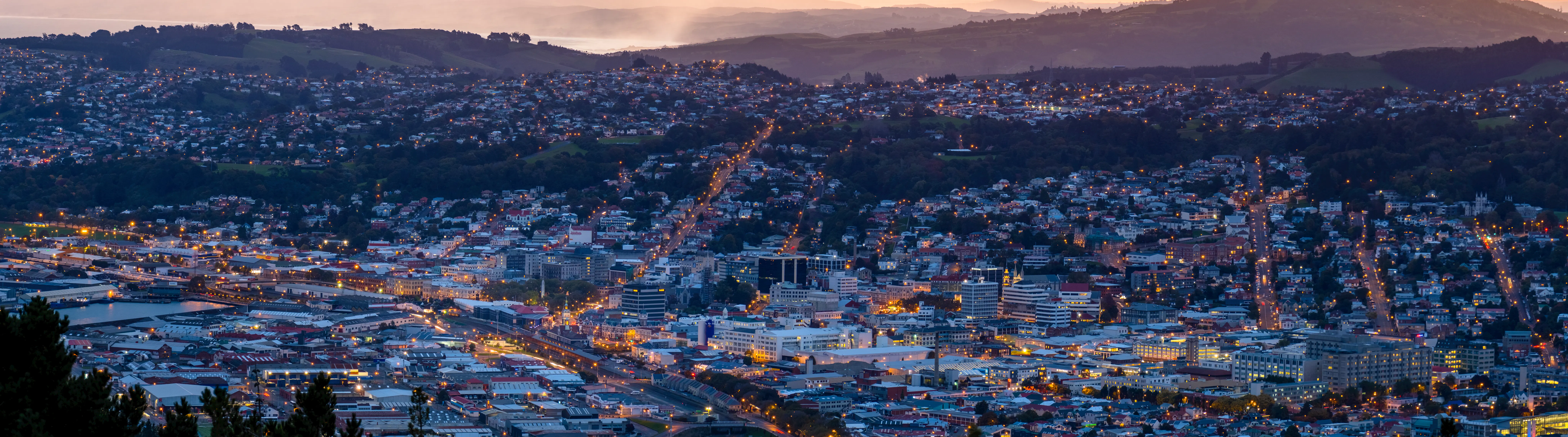 Dunedin