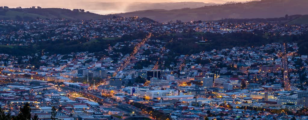Aktivitäten in Dunedin