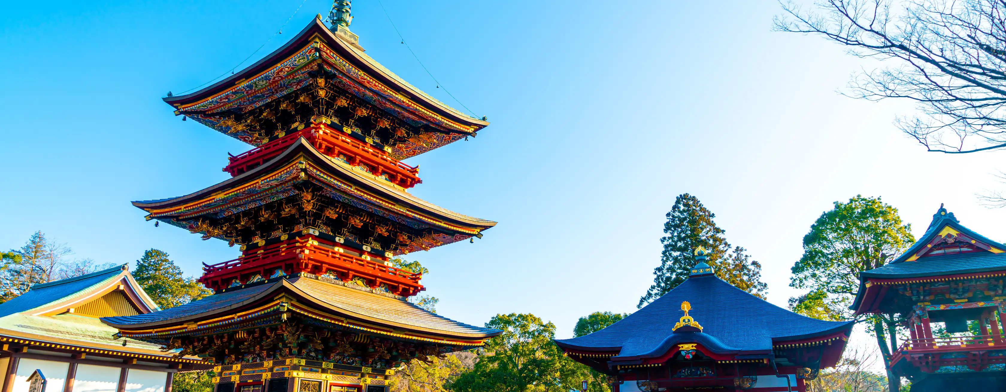 Actividades en Narita