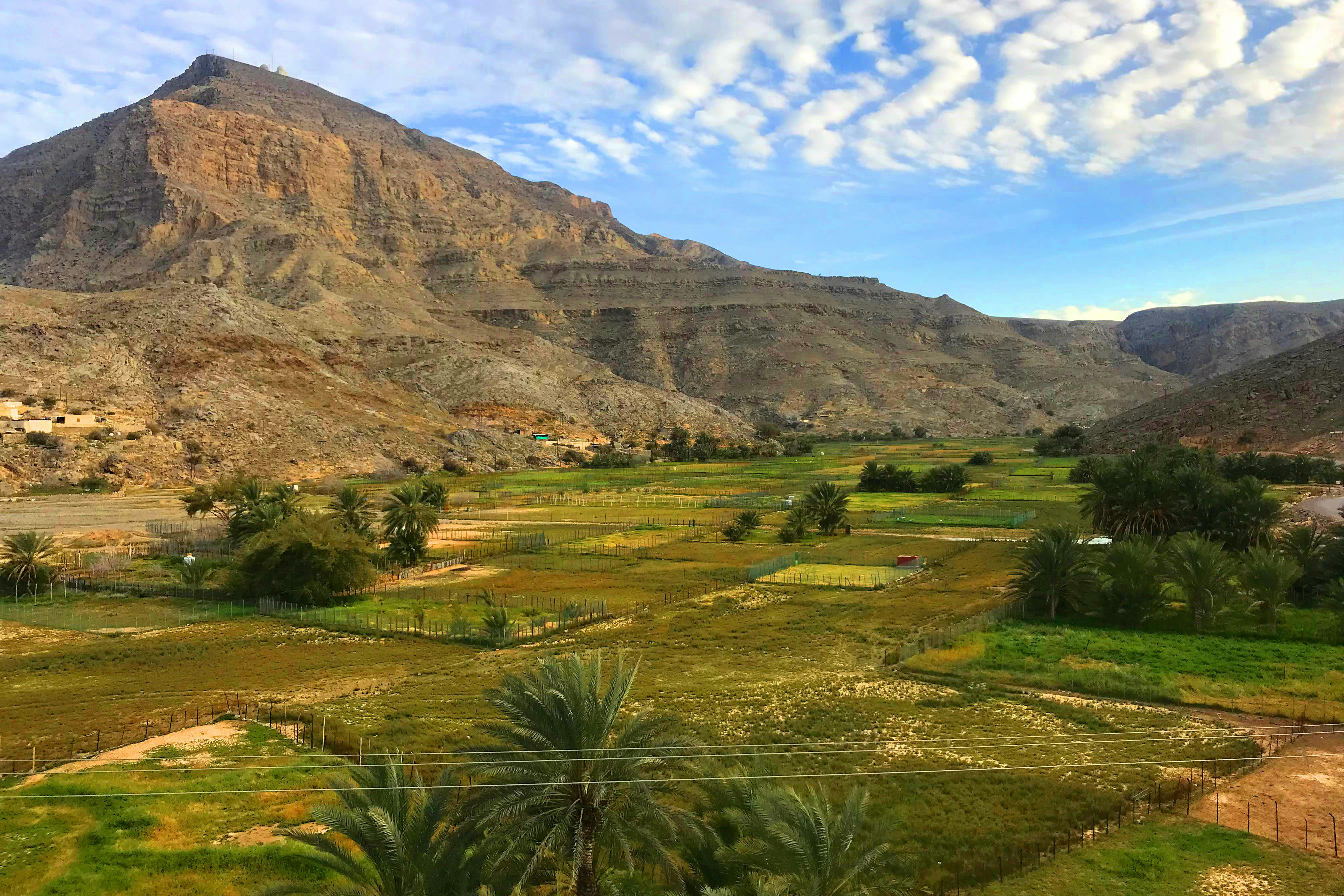 Safári de montanha de meio dia para Jebel Harim