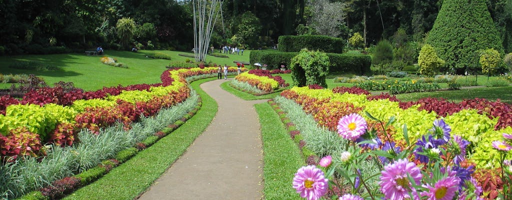 Kandy day tour from Colombo