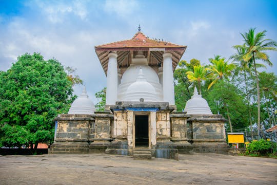 Tour dos quatro templos no Sri Lanka saindo de Kandy