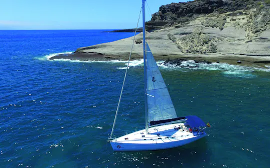 Walvissen en dolfijnen kijken op een exclusieve zeilboot op Tenerife