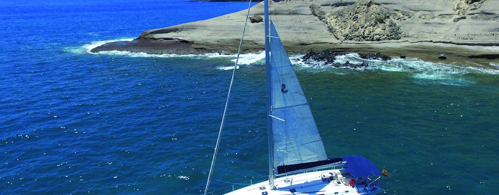 Whale and dolphin watching on an exclusive sailboat in Tenerife
