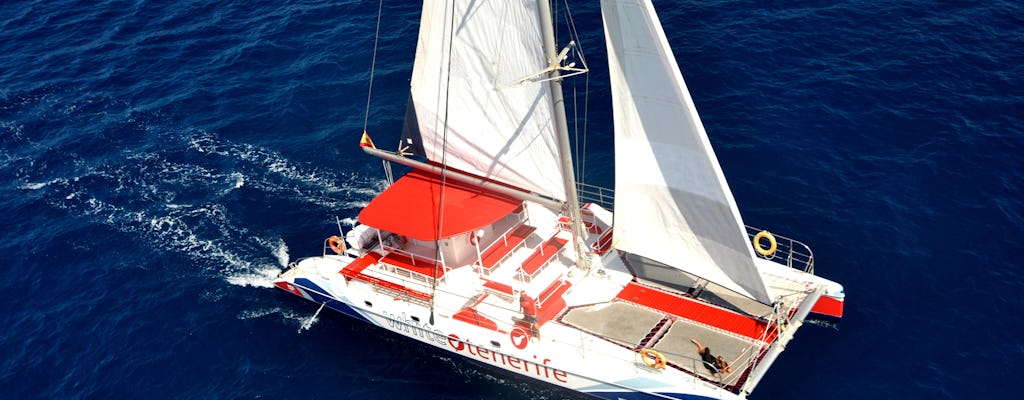 3 uur walvissen en dolfijnen spotten op een eco-catamaran