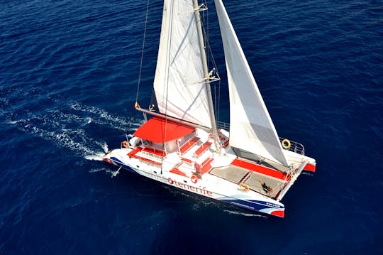 3 uur walvissen en dolfijnen spotten op een eco-catamaran