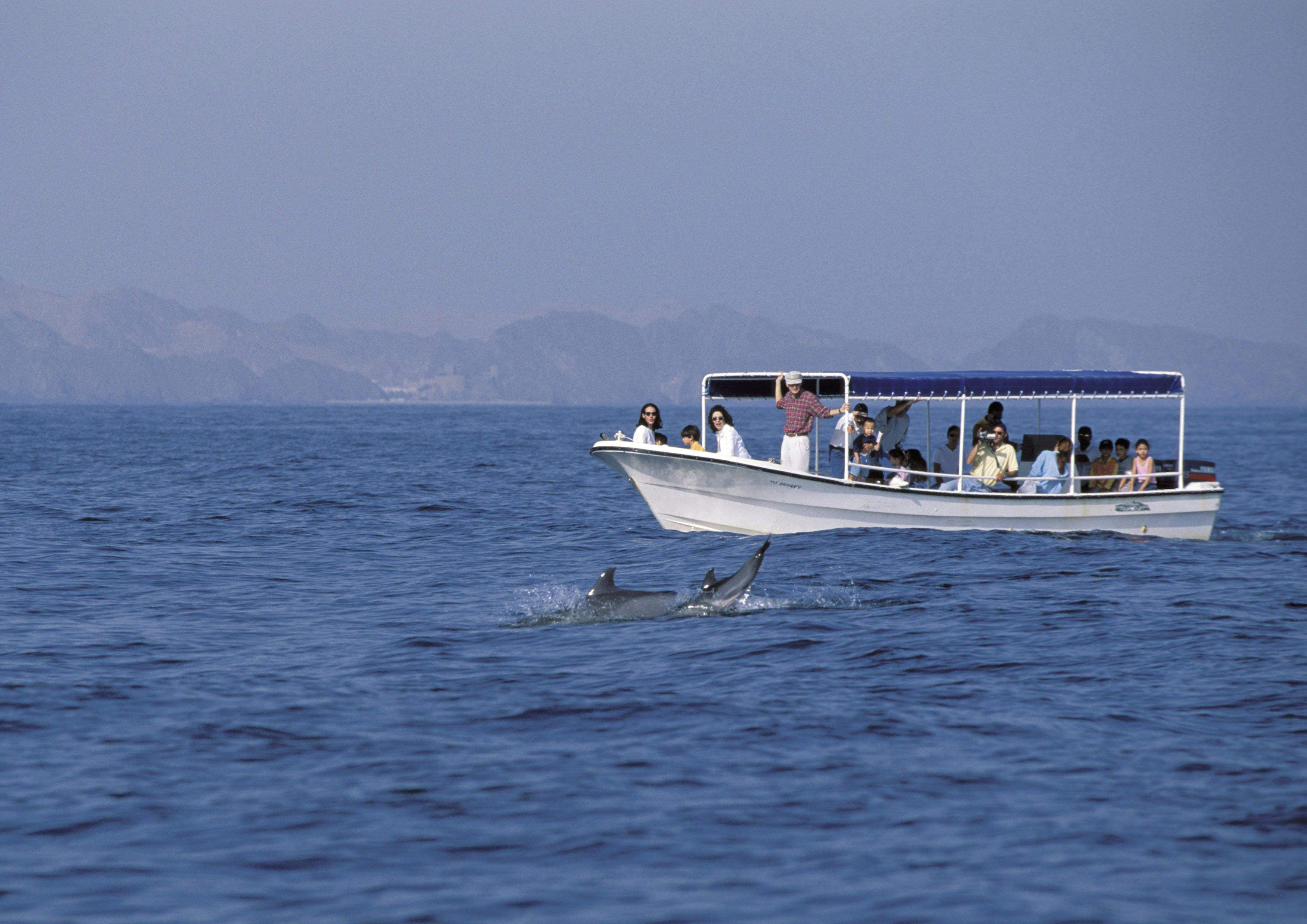 Dolphin Watching and Snorkeling in Oman Musement