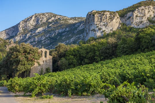 Excursão privada aos castelos do vinho em Montpellier