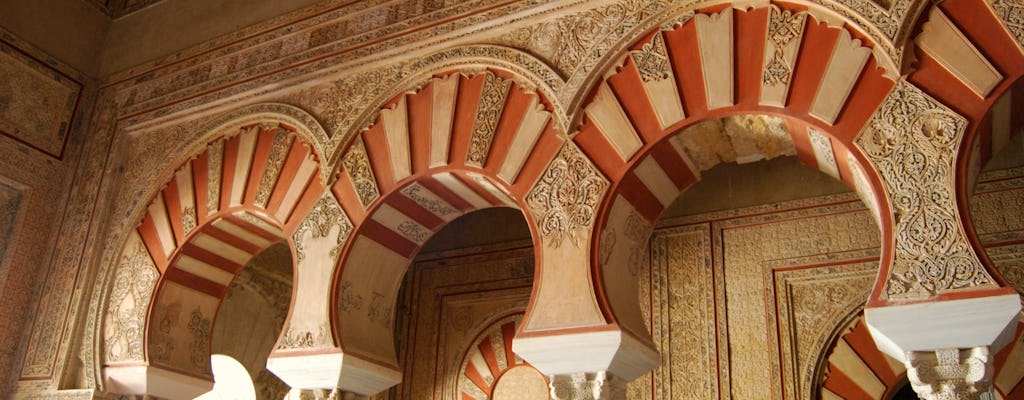 Historical guided tour of Medina Azahara