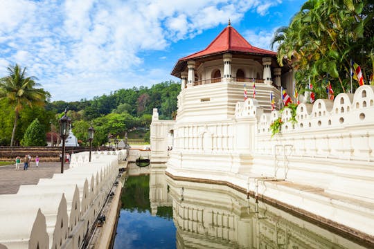 Kandy Stadt, Tempel des heiligen Zahnrelikts, Teeplantage und kulturelle Tanztour