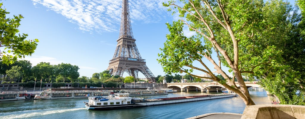 Paris VIP Tour mit Seine Flusskreuzfahrt