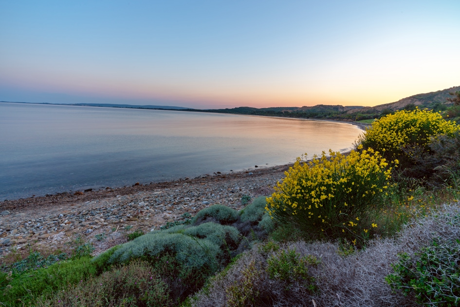 Gallipoli Peninsula day tour from Istanbul | musement