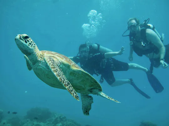 Fast stylish Catamaran in the Great Barrier Reef